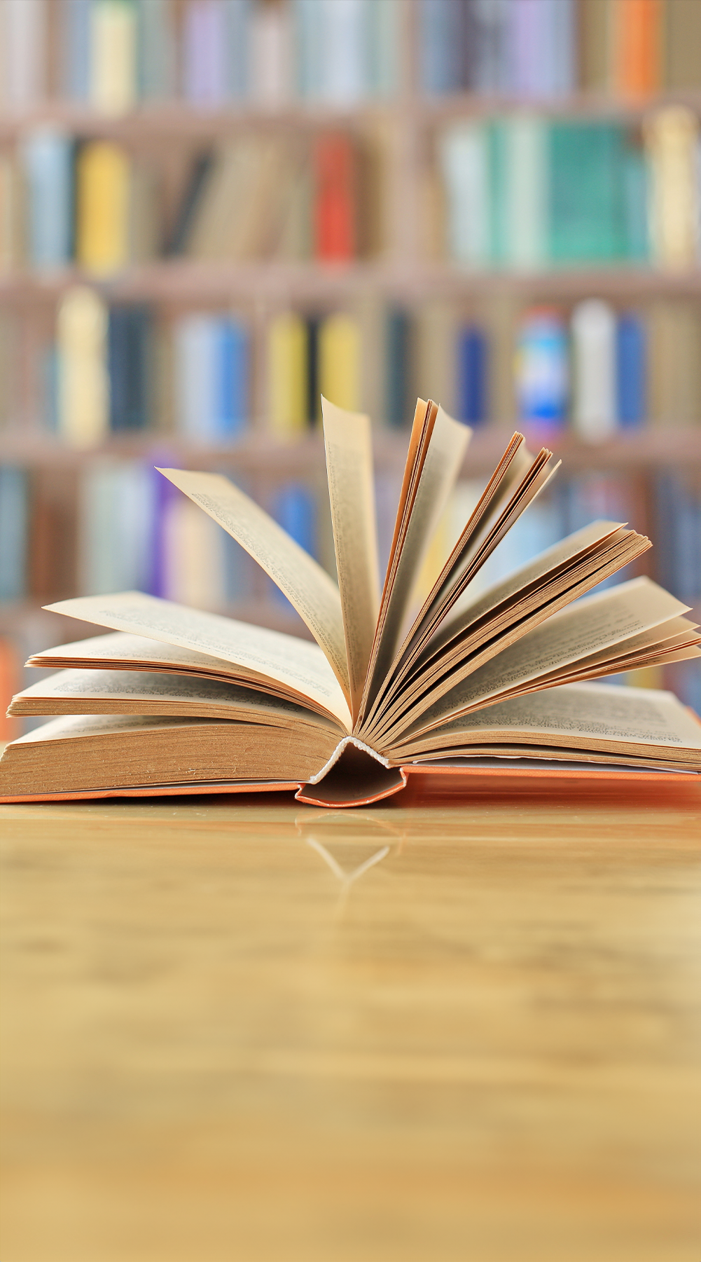 مركز أبوظبي للغة العربية: 31 عملاً يصل إلى القوائم الطويلة لبرنامج المنح البحثية 2025